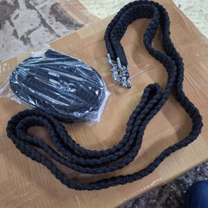 (Black) Horse Lead