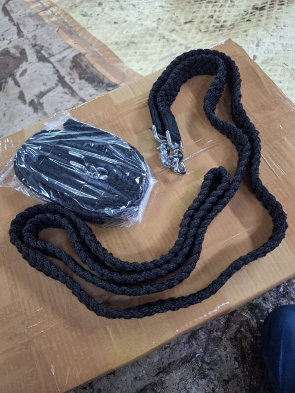 (Black) Horse Lead