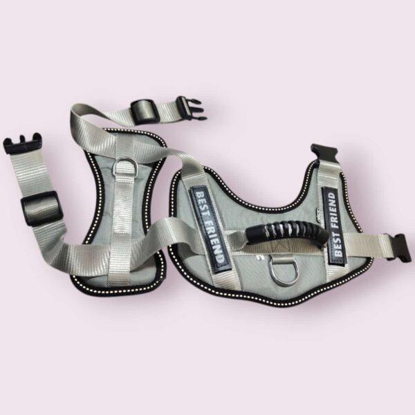 Dog harness