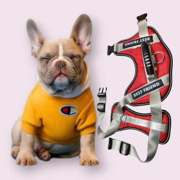 Dog Harness