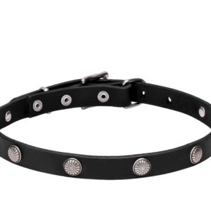Leather Dog Collar