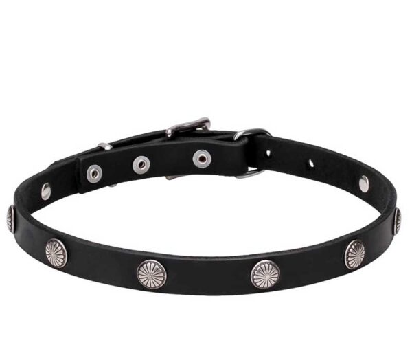 Leather Dog Collar
