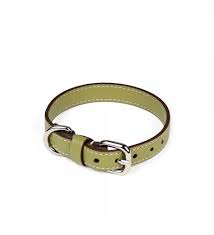 Leather Dog Collar